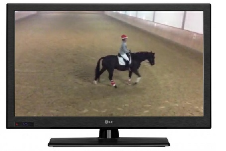 Video_1.mov